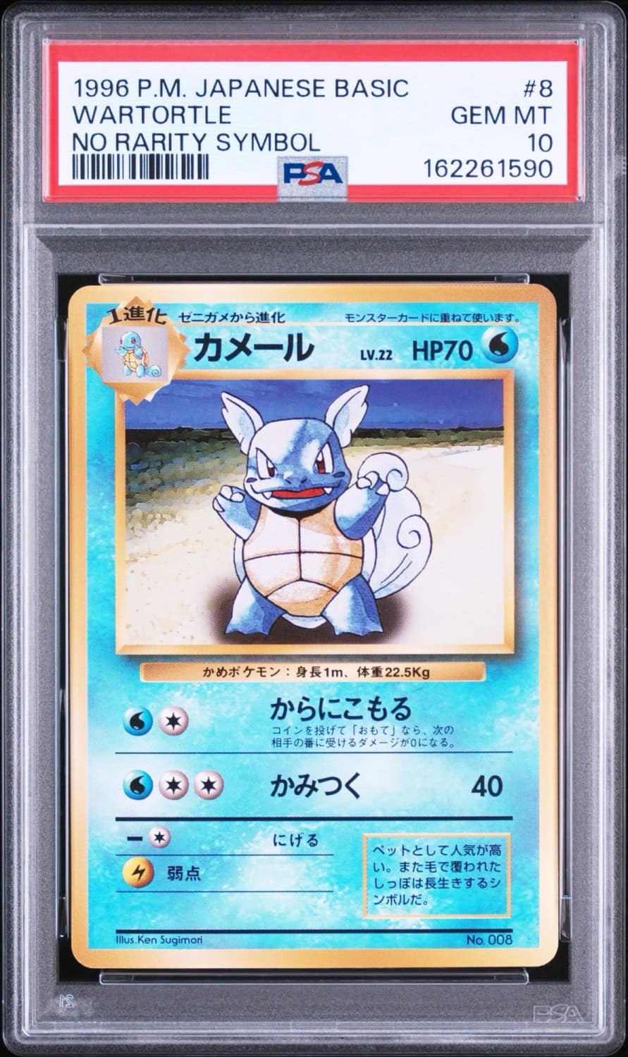 Wartortle