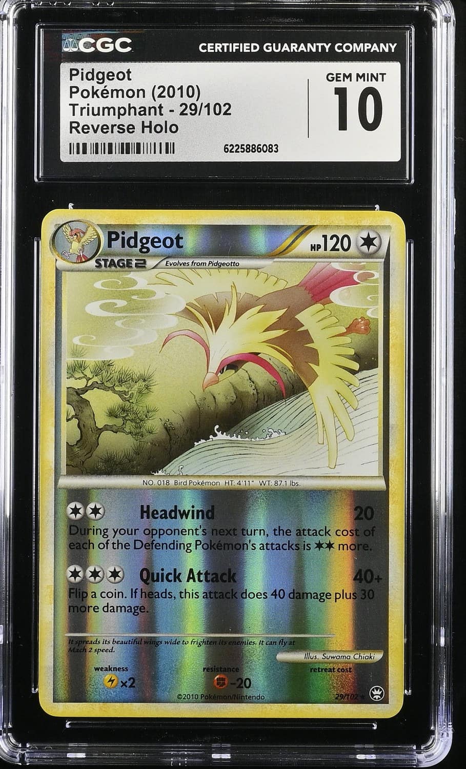 Pidgeot