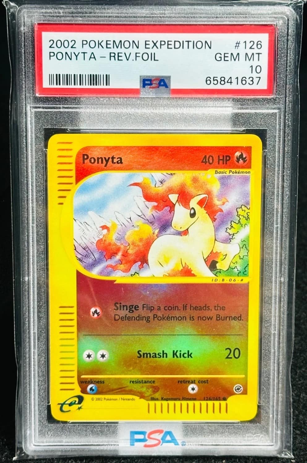 Ponyta