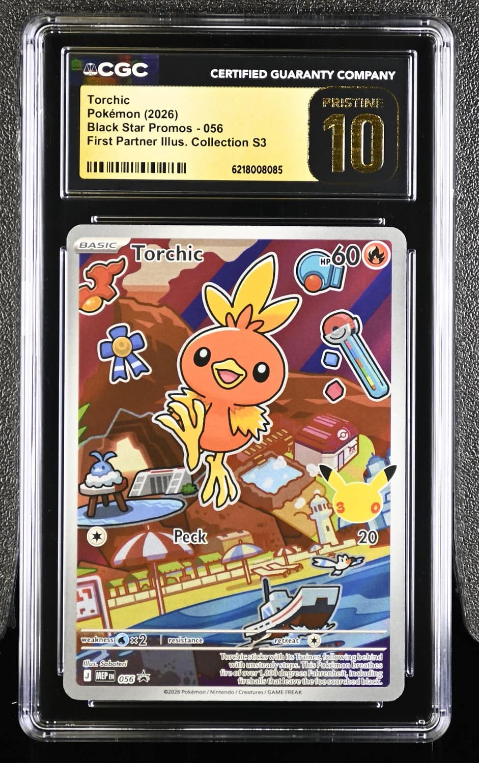 Torchic