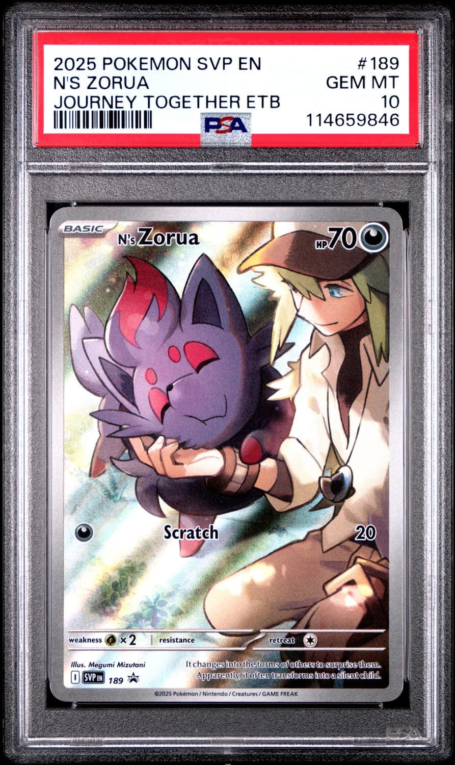 N'S Zorua