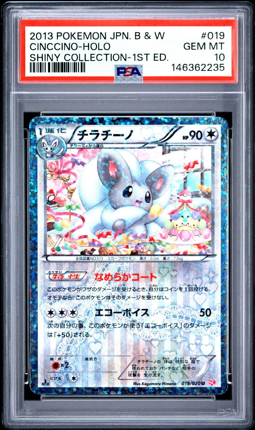Cinccino