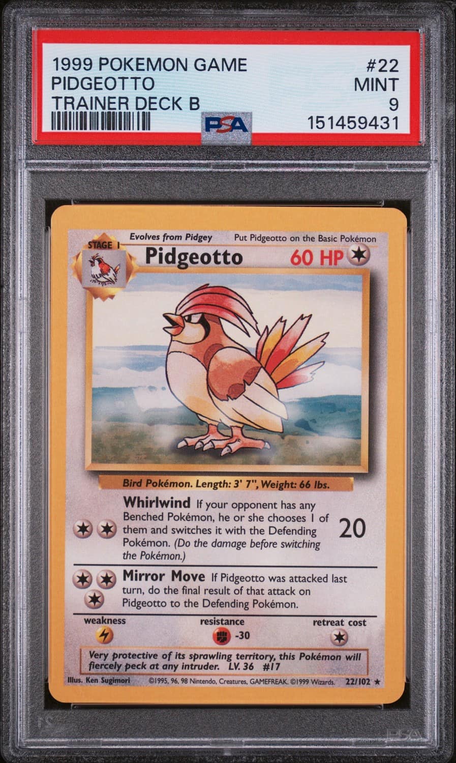 Pidgeotto