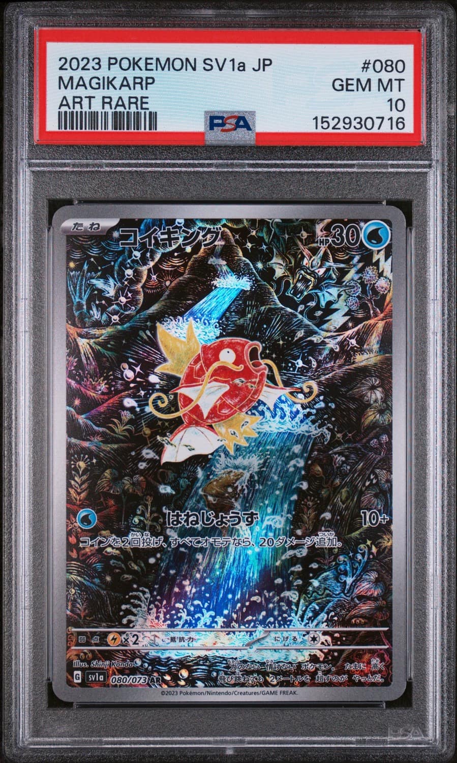 Magikarp
