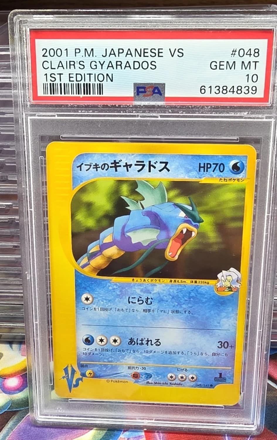 Clair'S Gyarados