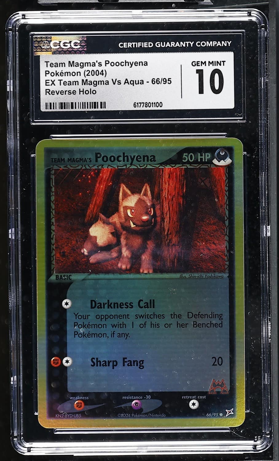 Magma'S Poochyena