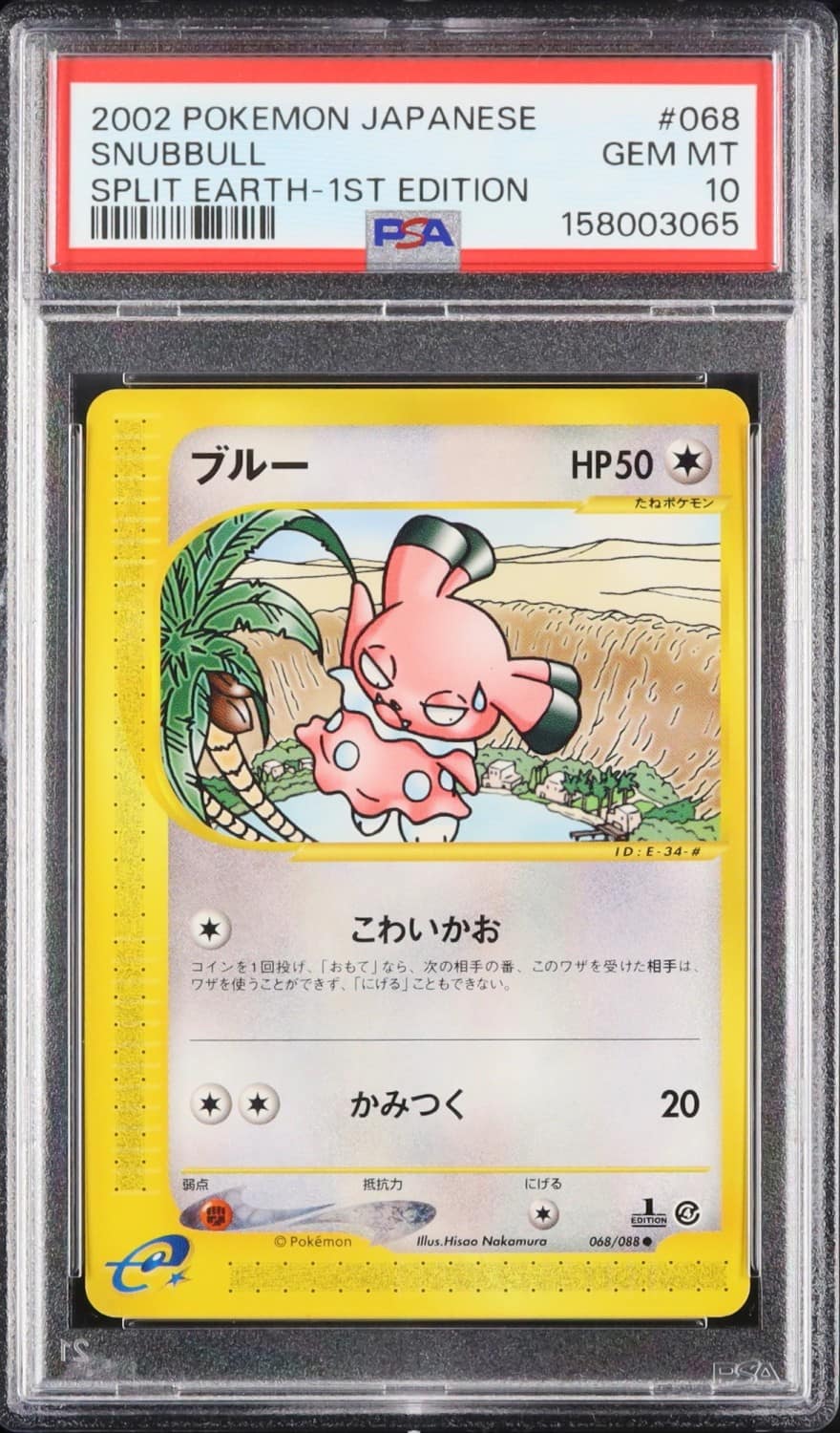 Snubbull