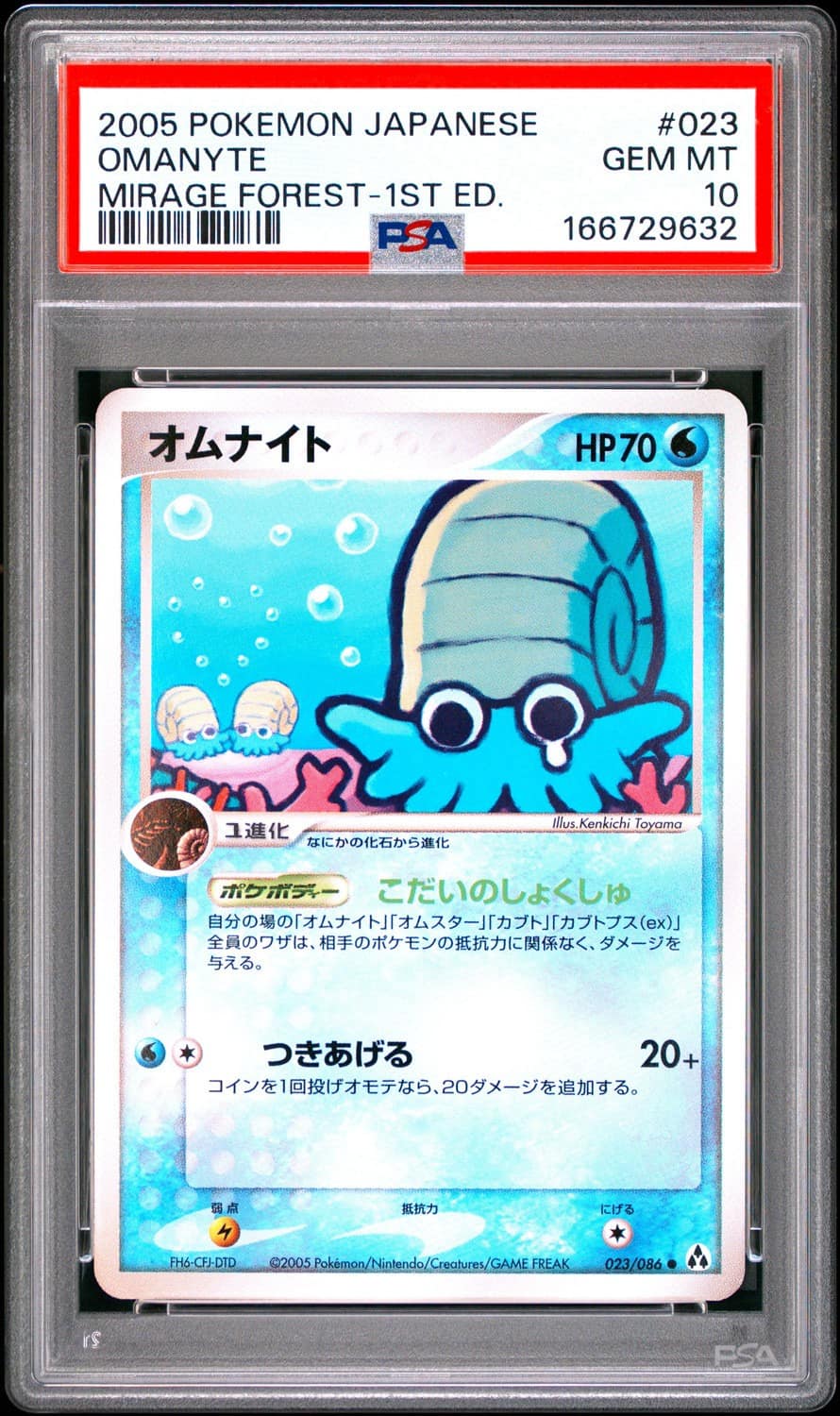 Omanyte