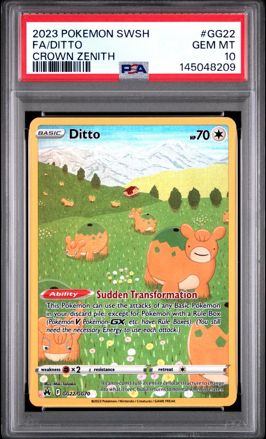 Ditto