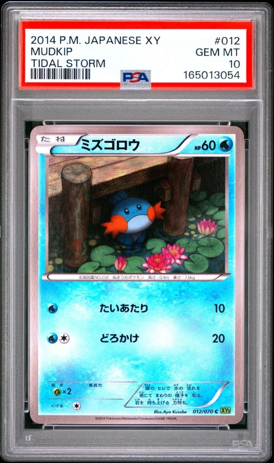 Mudkip