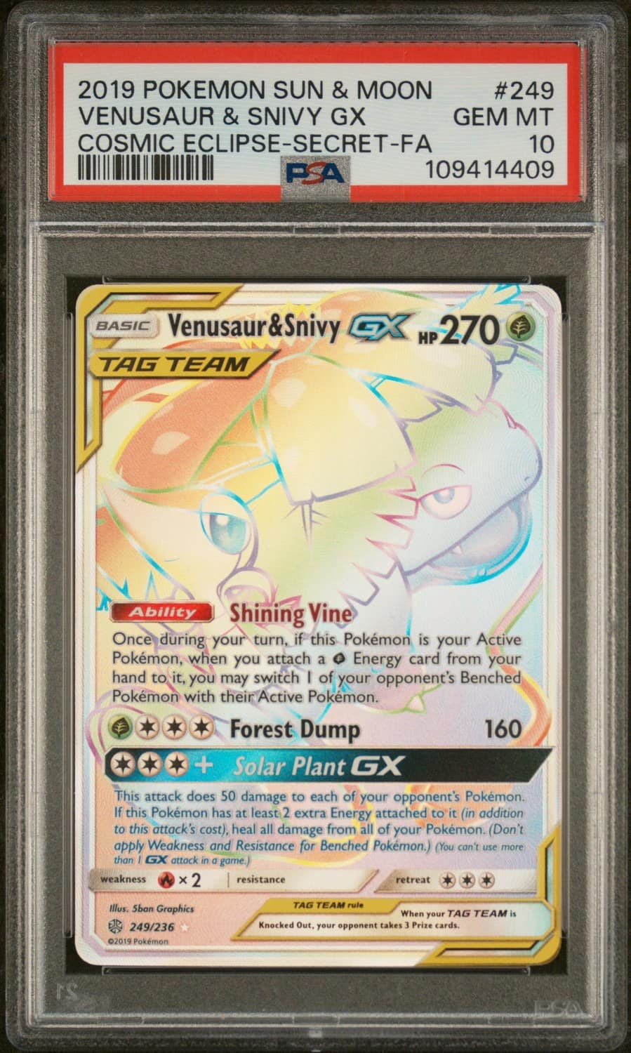 Venusaur & Snivy Gx
