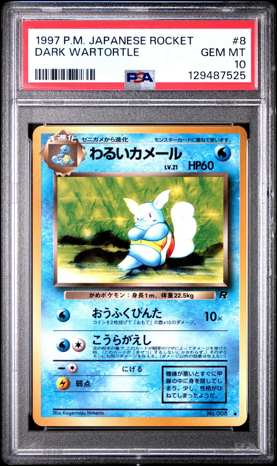 Dark Wartortle