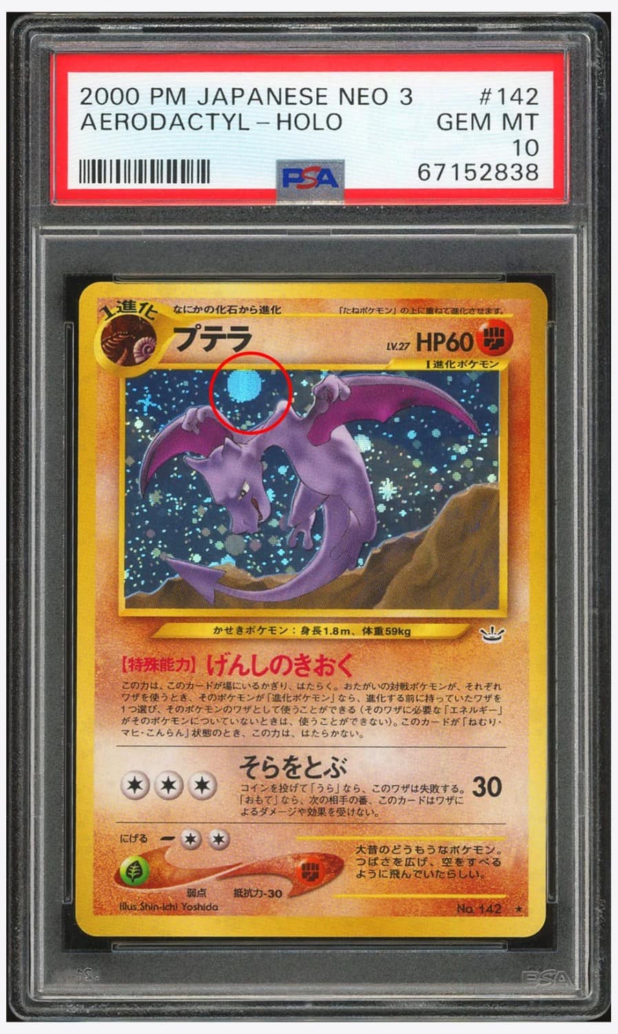 Aerodactyl