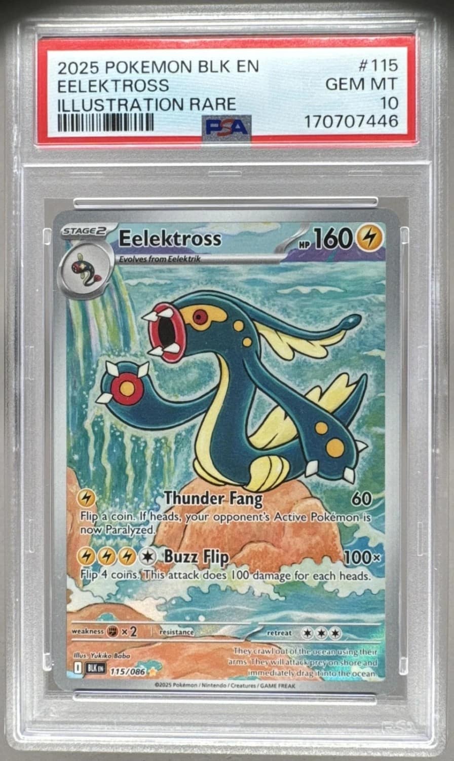 Eelektross