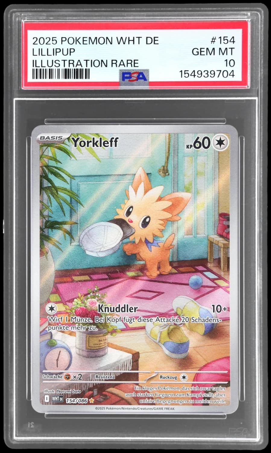 Lillipup