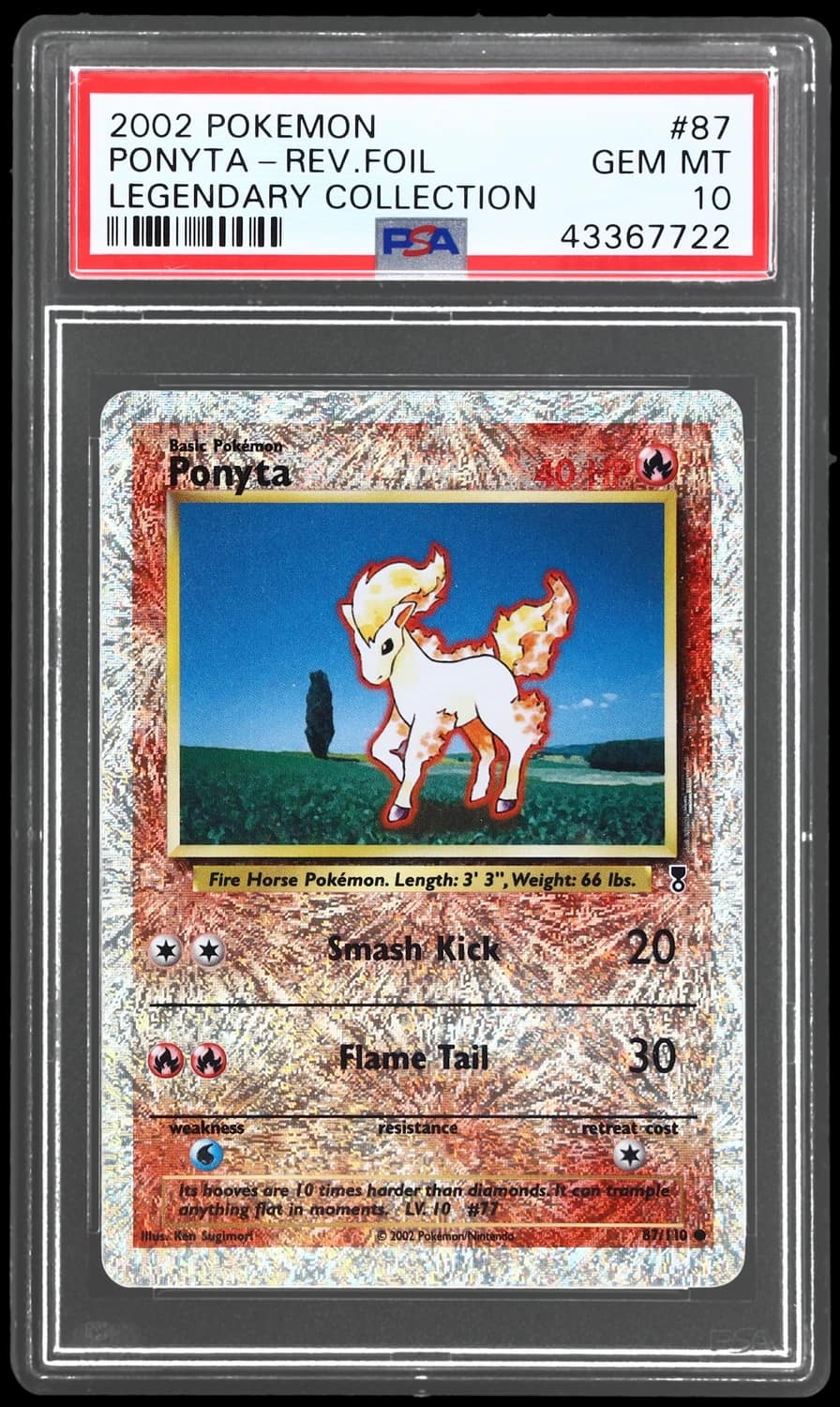 Ponyta