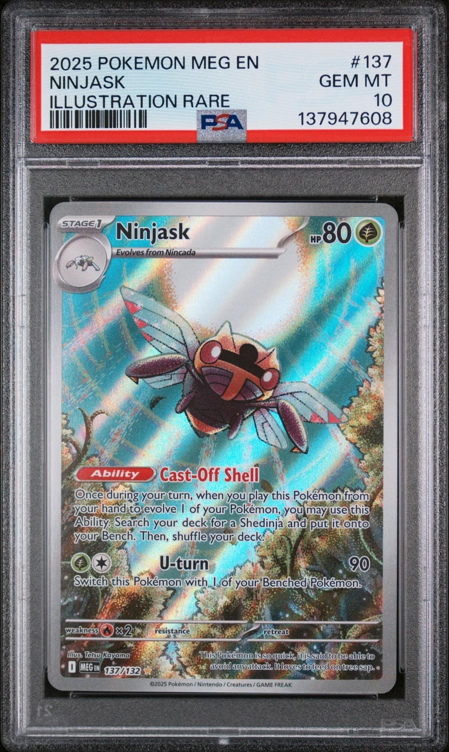 Ninjask