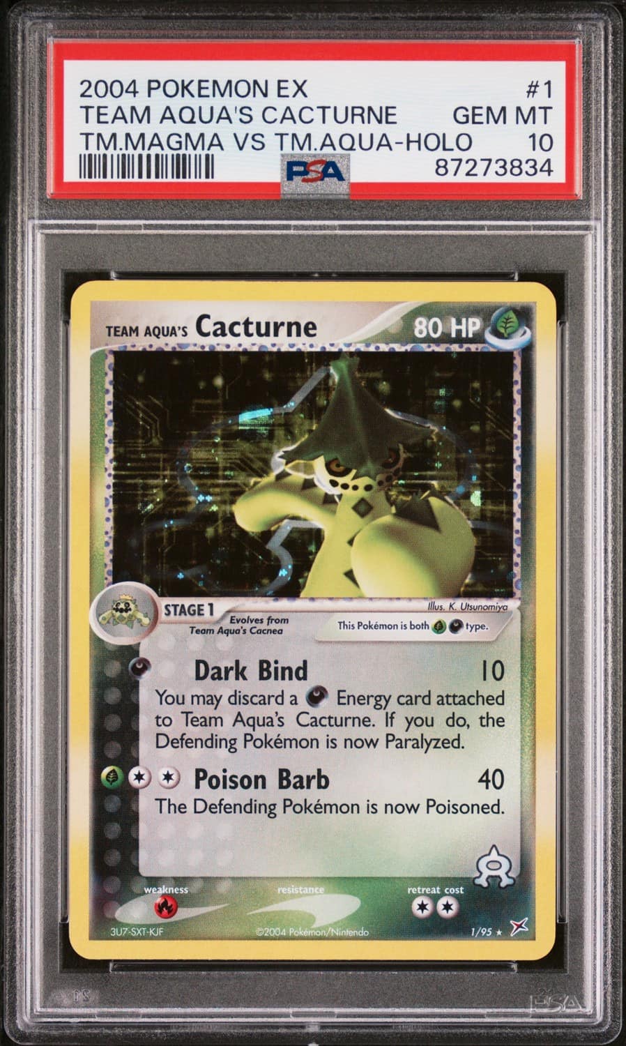 Aqua'S Cacturne