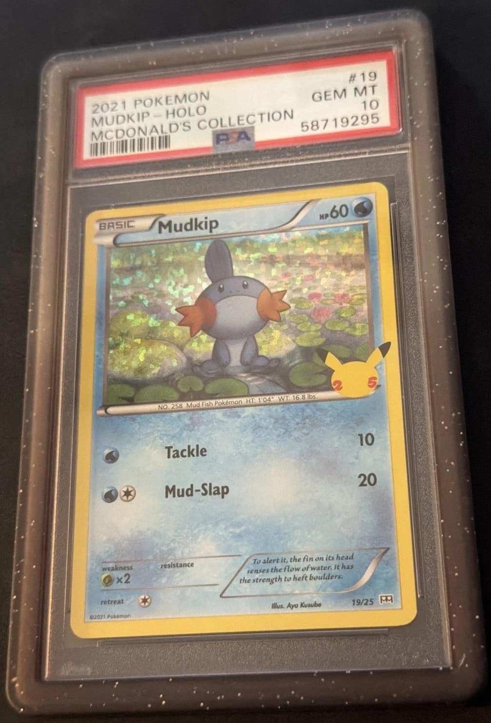Mudkip
