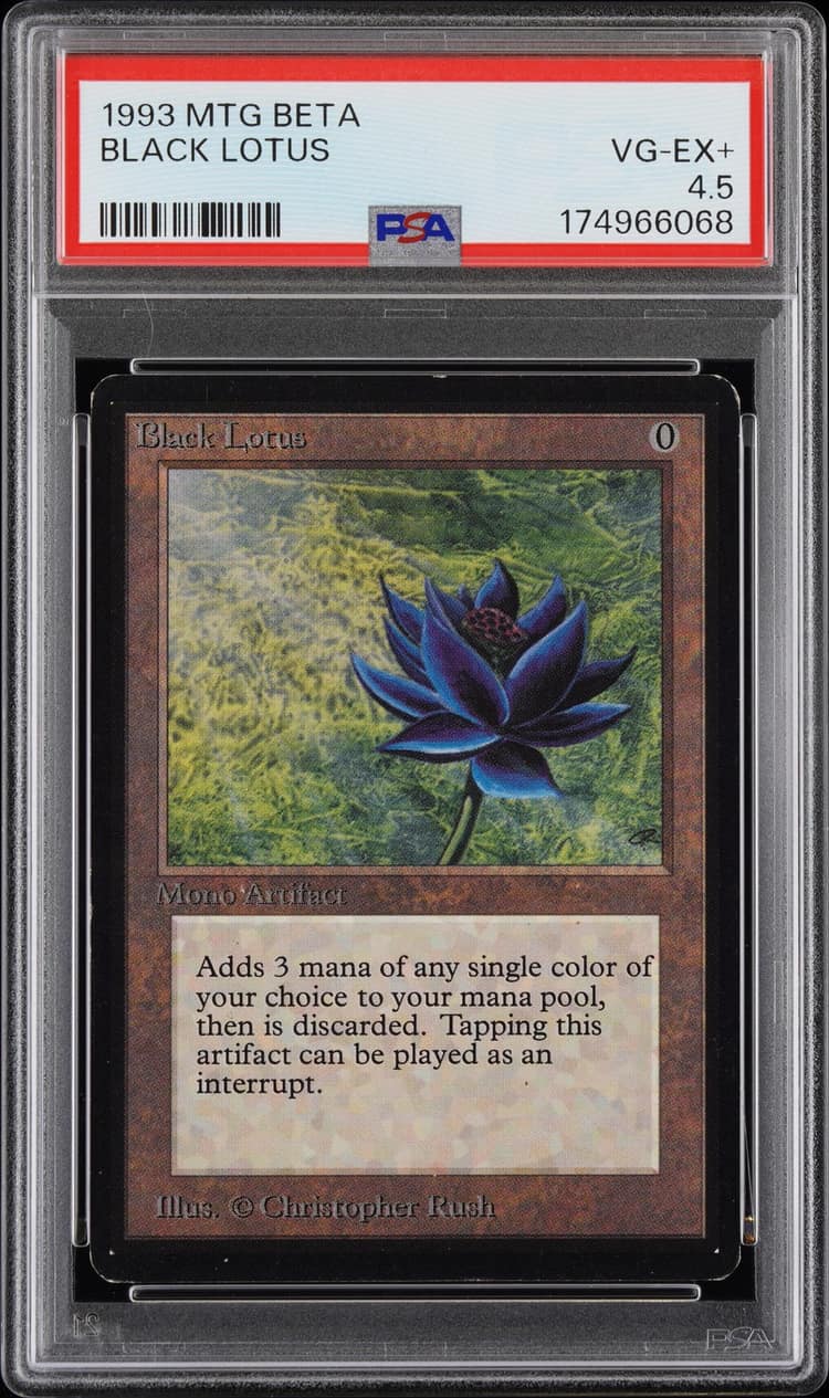 Black Lotus