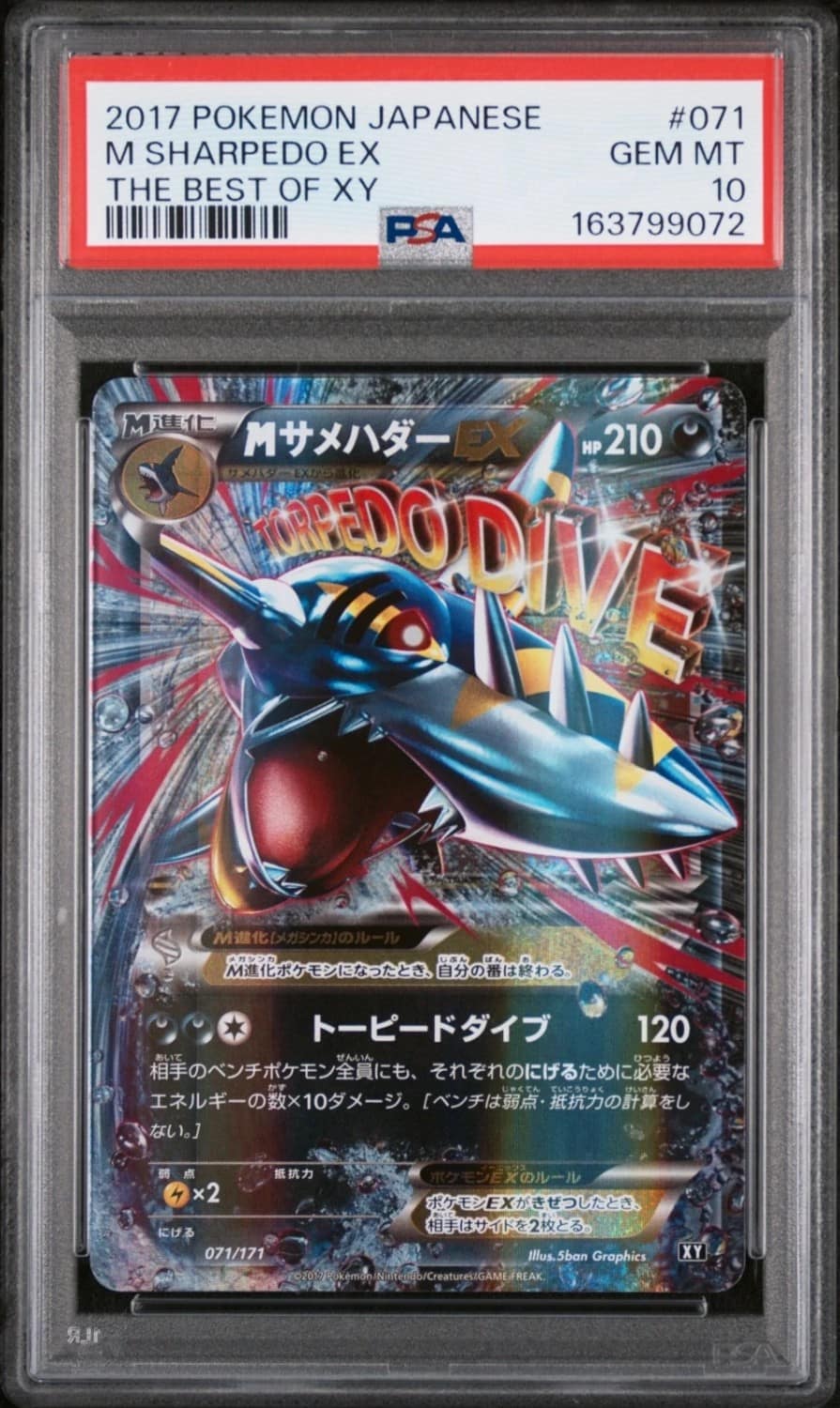 M Sharpedo Ex