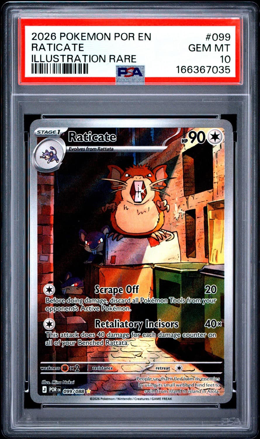 Raticate