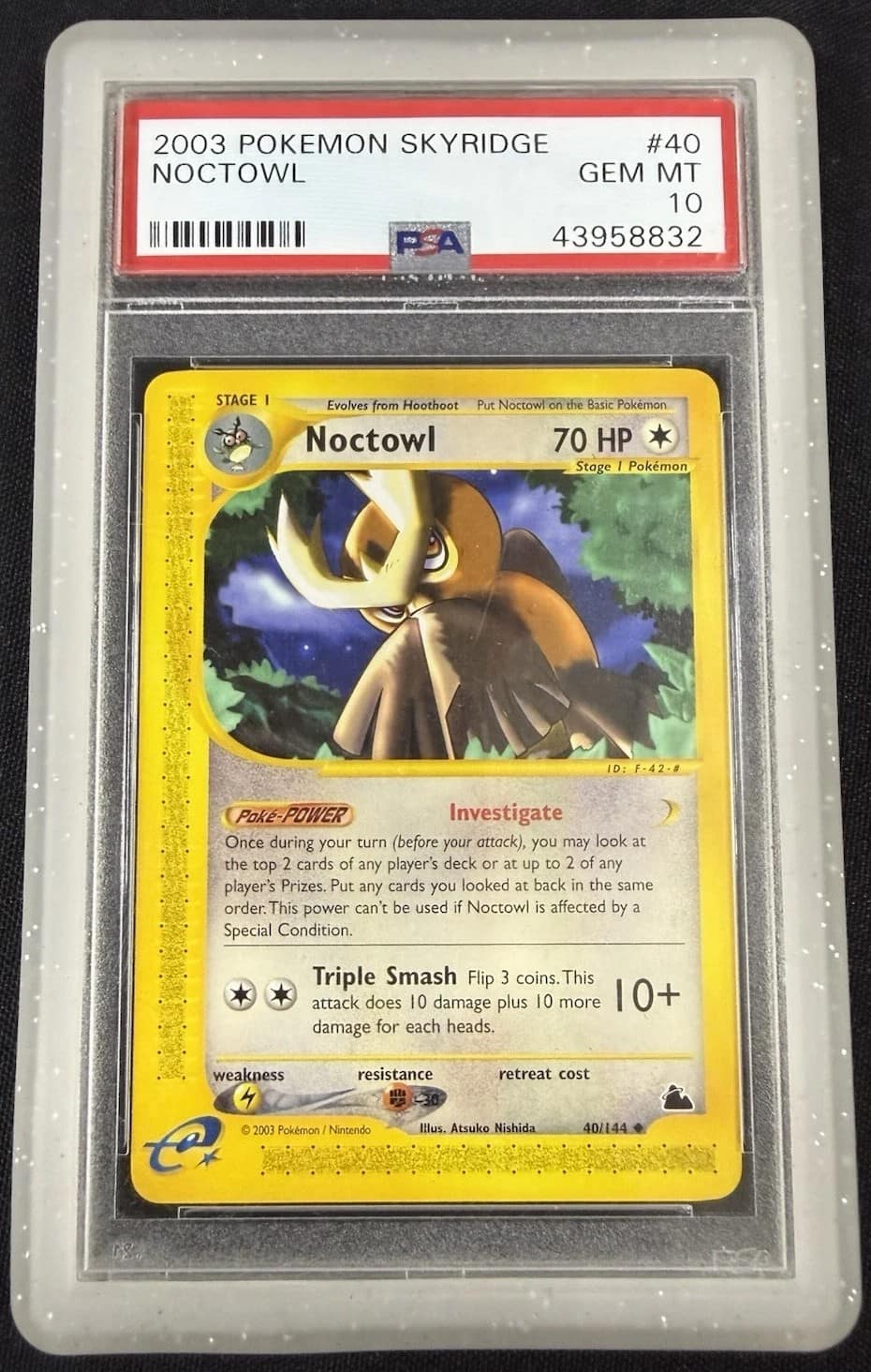 Noctowl