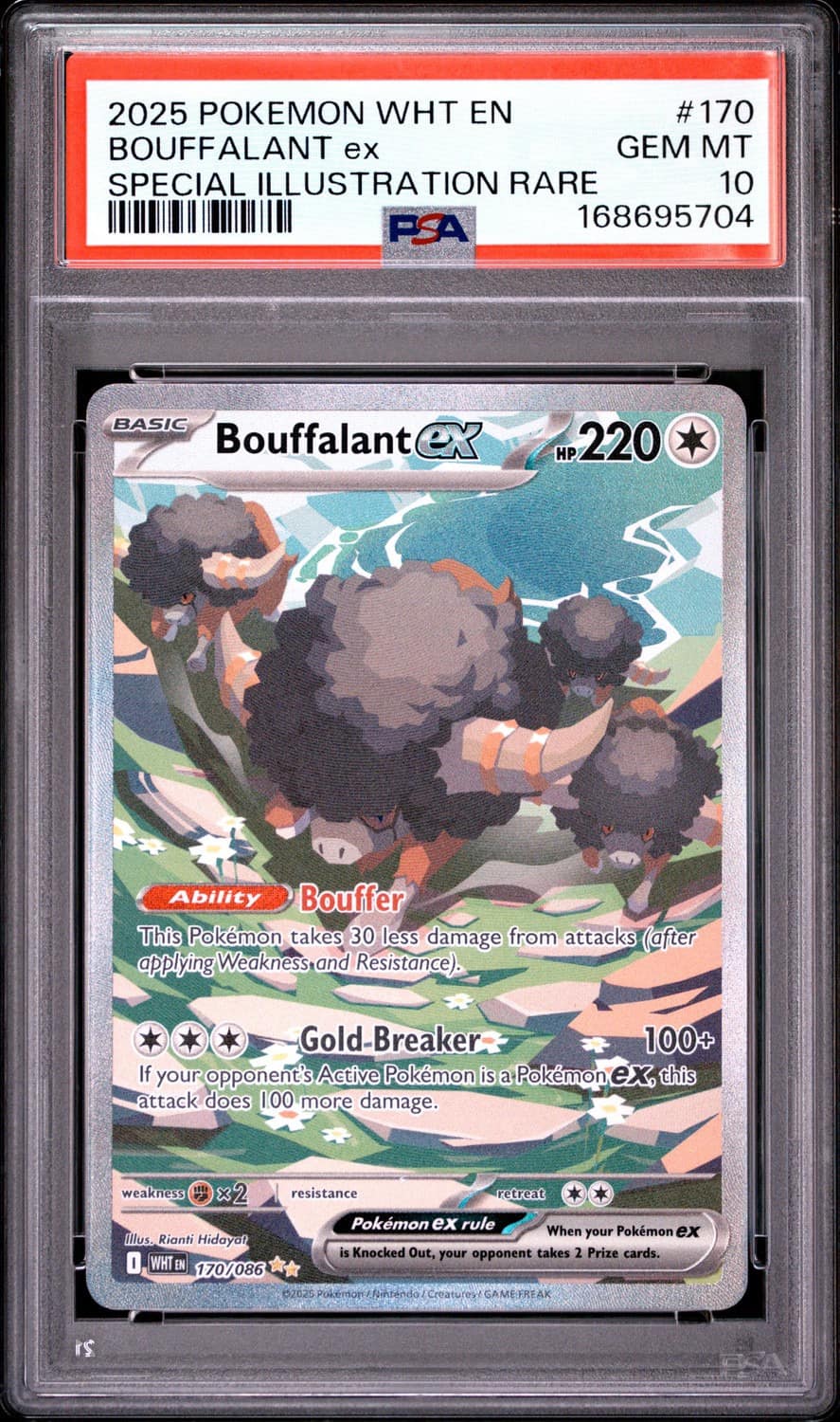 Bouffalant Ex