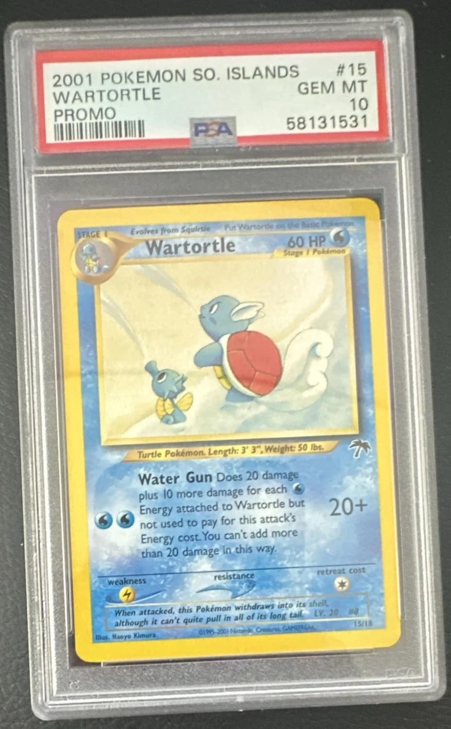 Wartortle