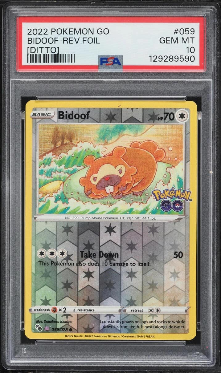 Bidoof