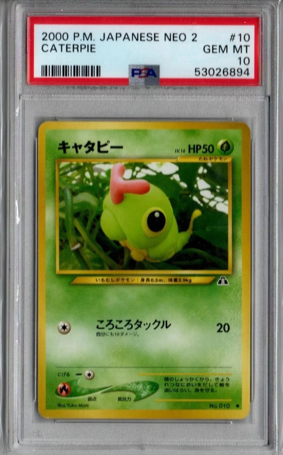Caterpie