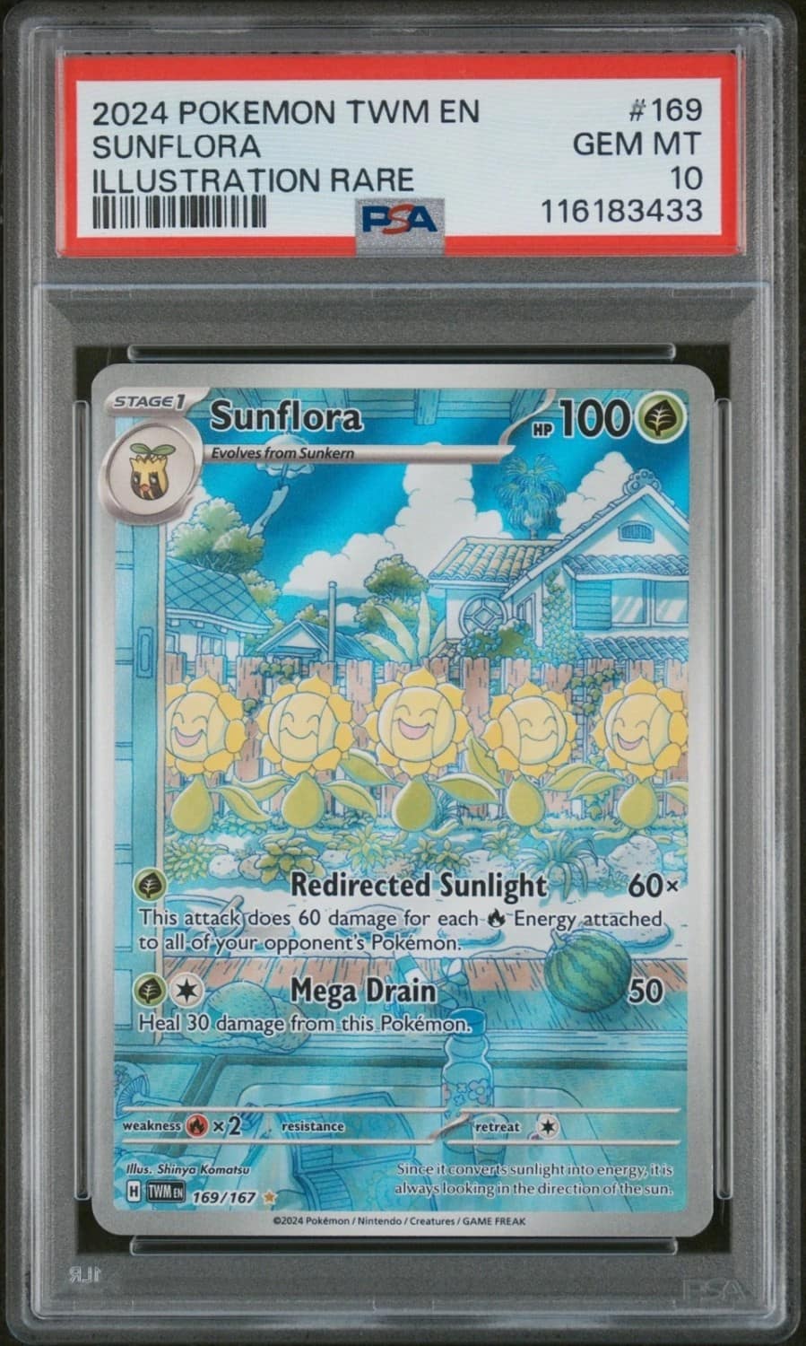 Sunflora