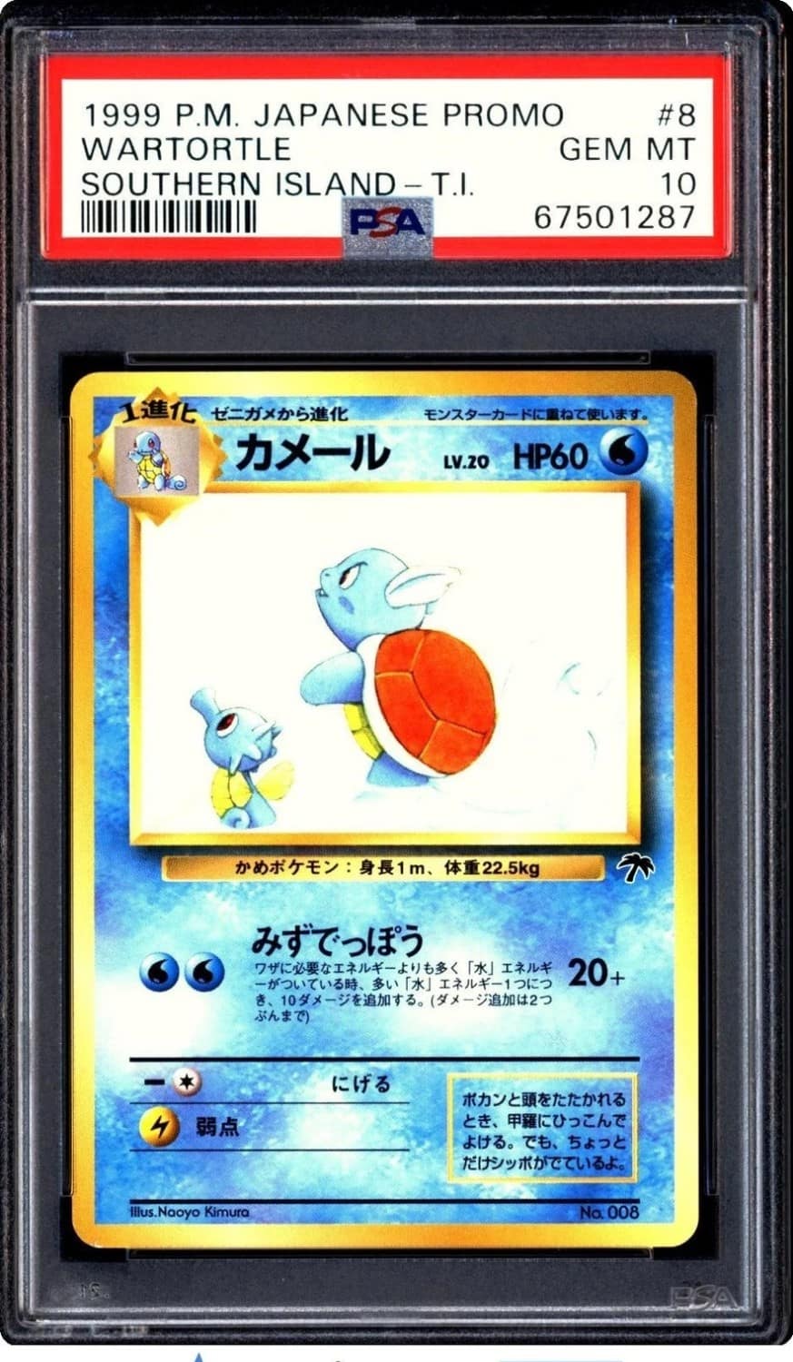 Wartortle