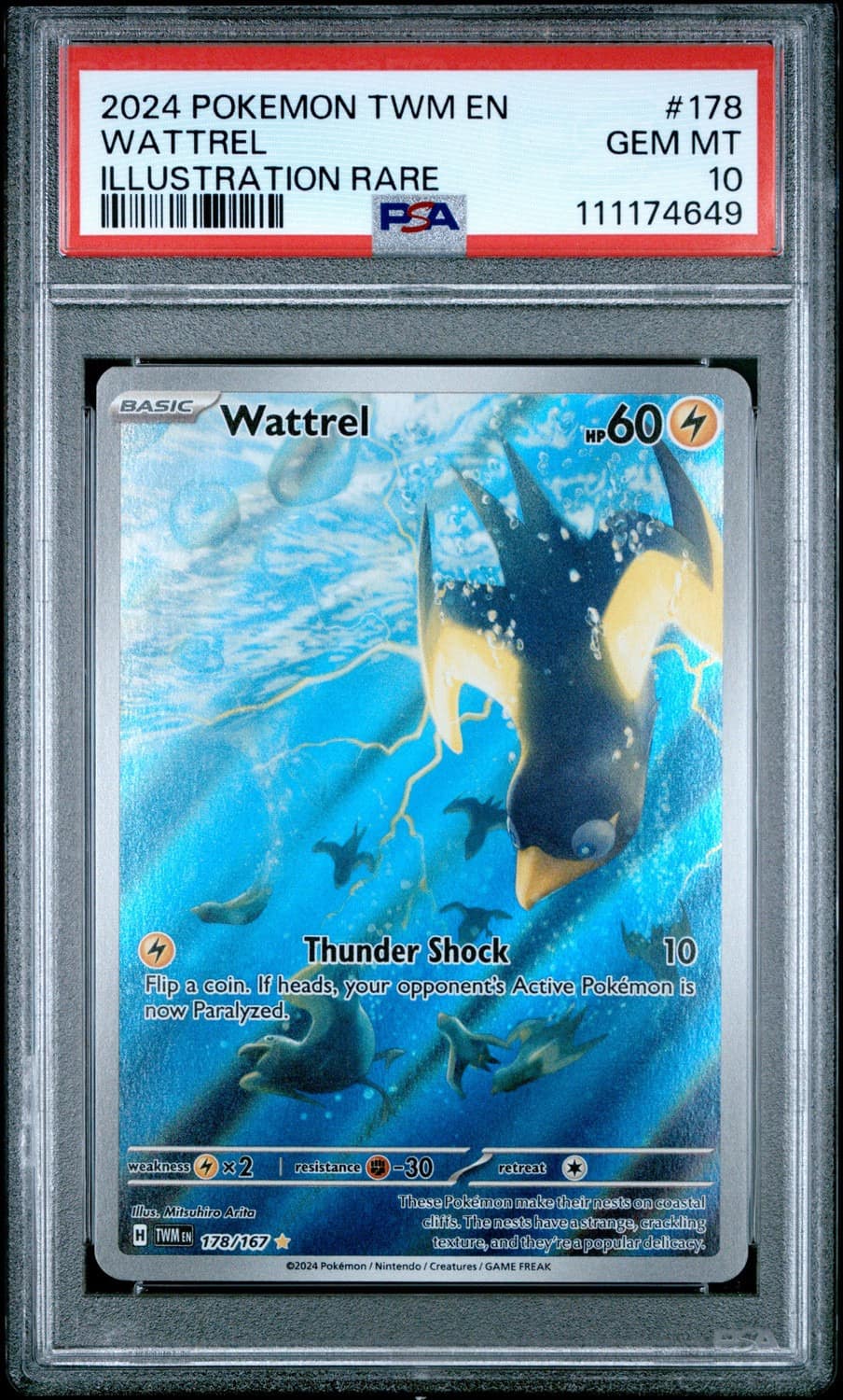 Wattrel