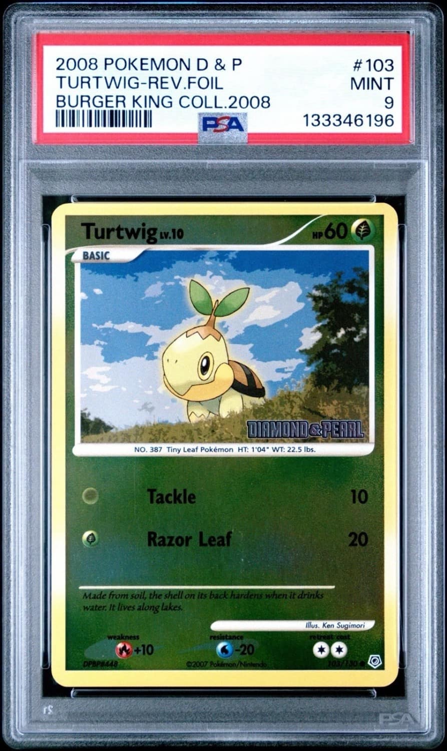 Turtwig
