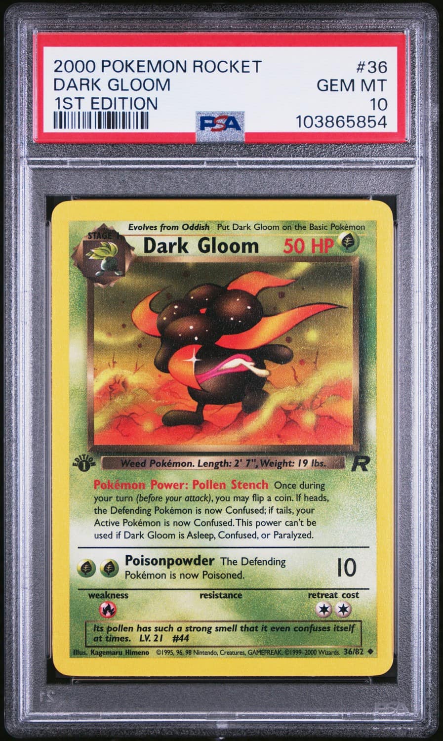 Dark Gloom