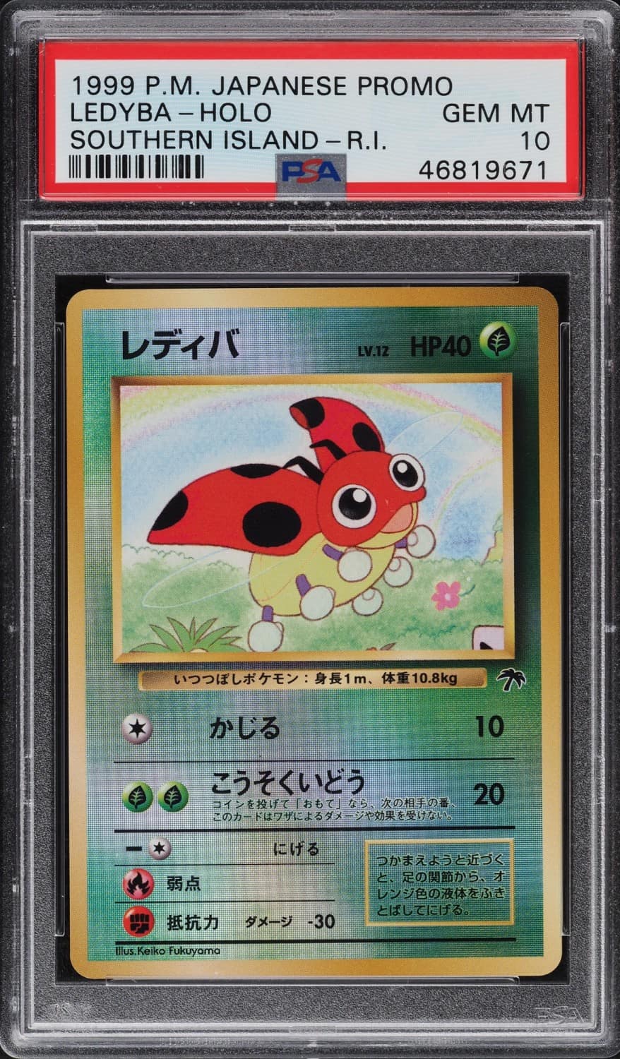 Ledyba