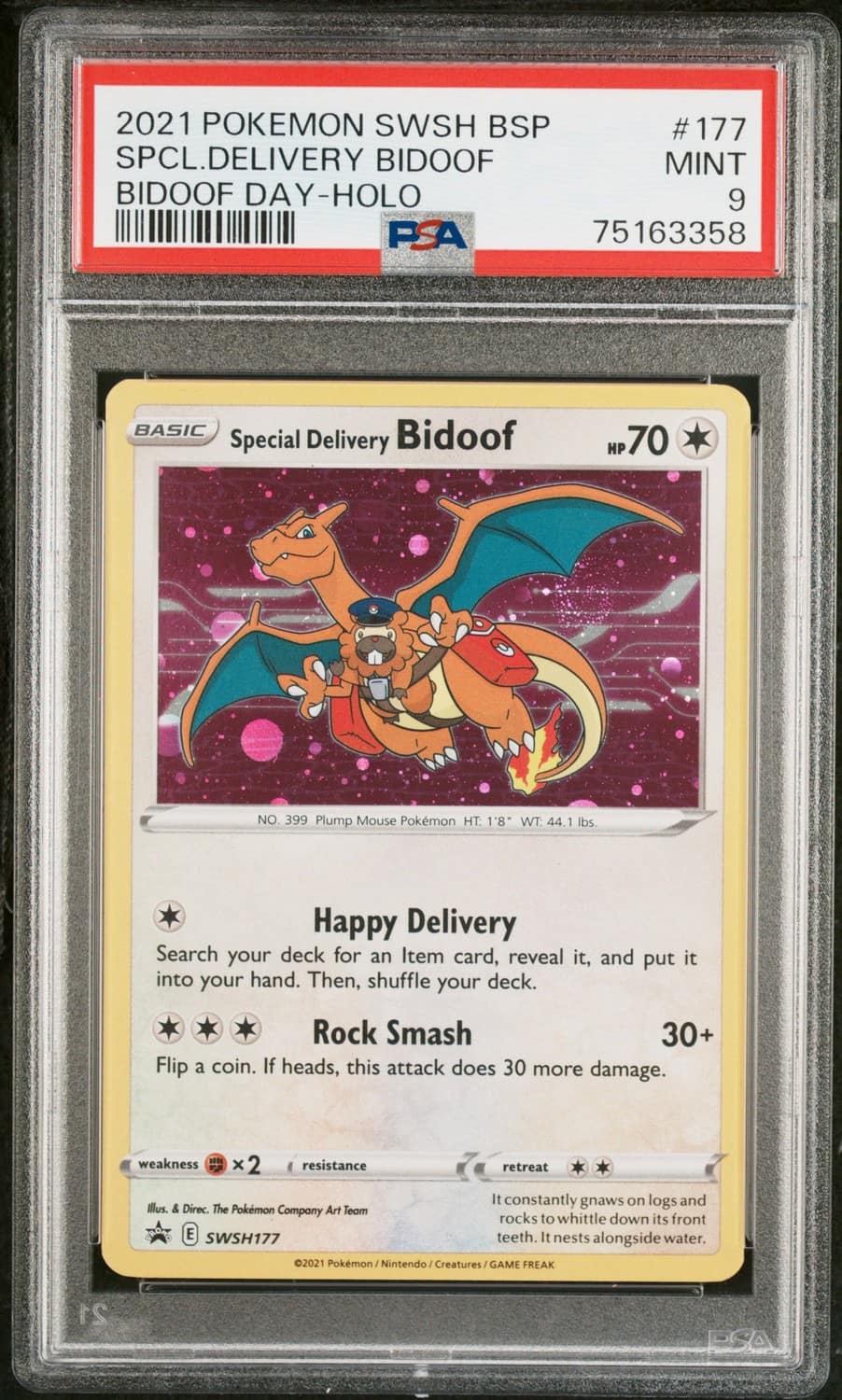 Special Delivery Bidoof