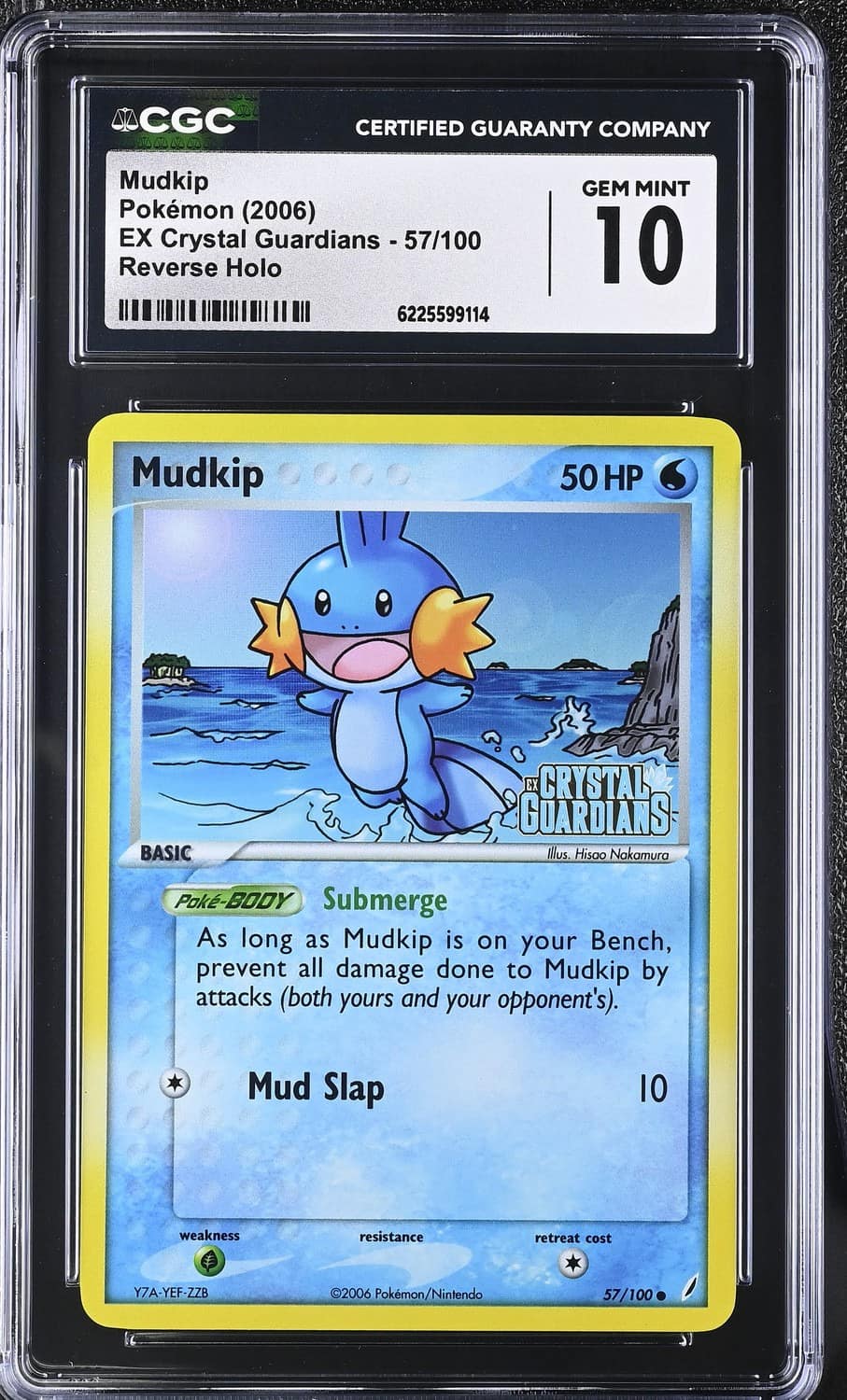 Mudkip