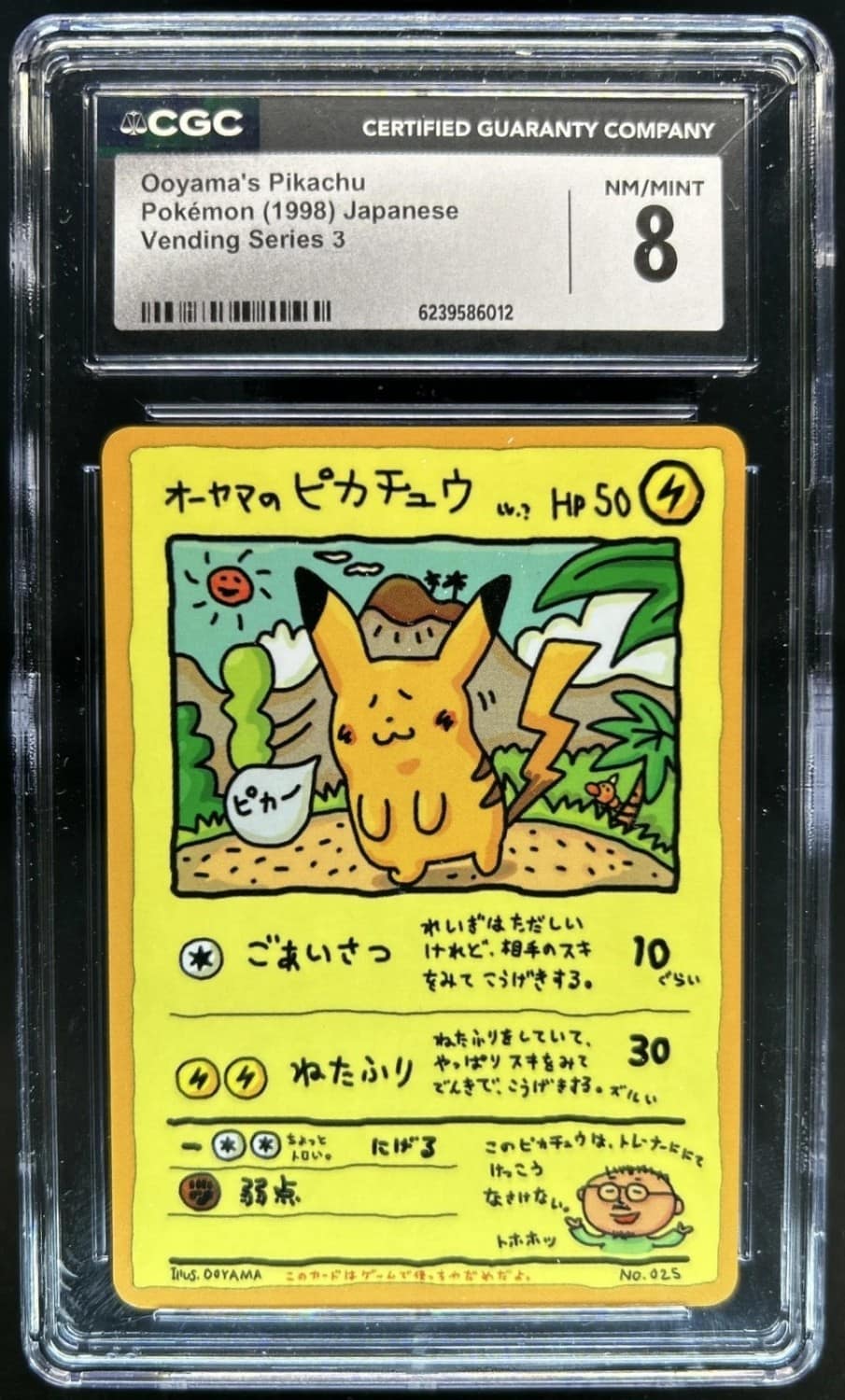 Ooyama'S Pikachu