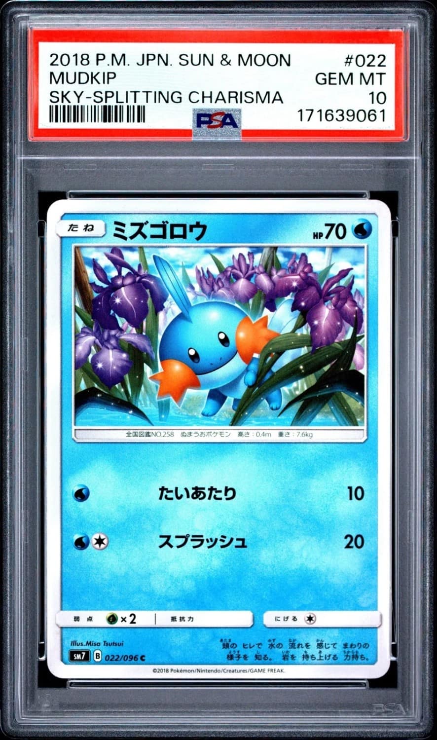 Mudkip