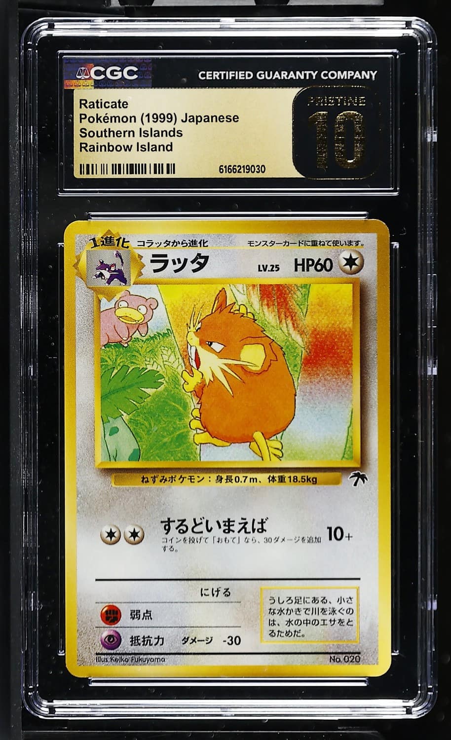 Raticate