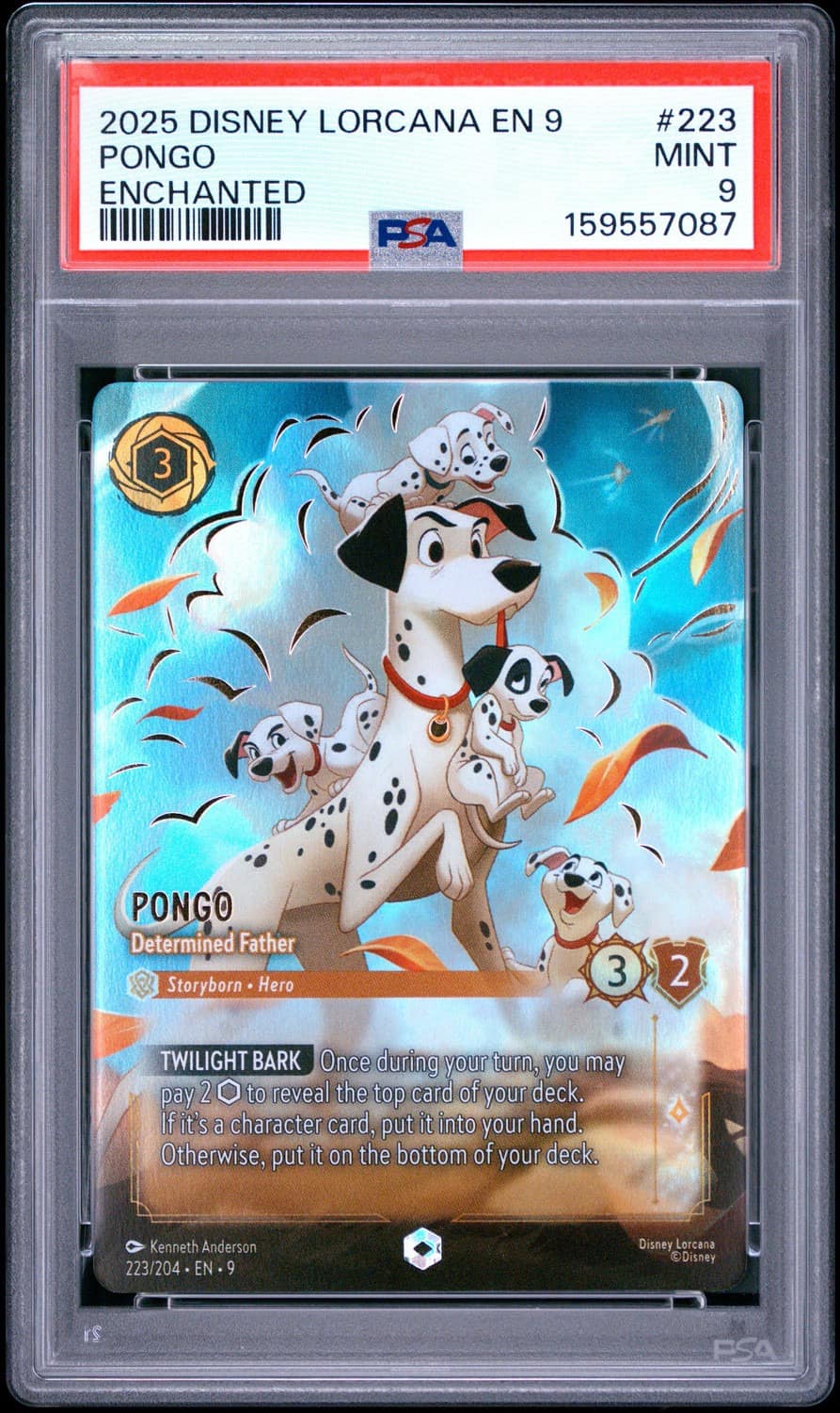 Pongo