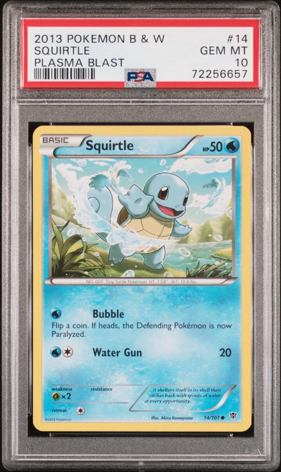 Squirtle