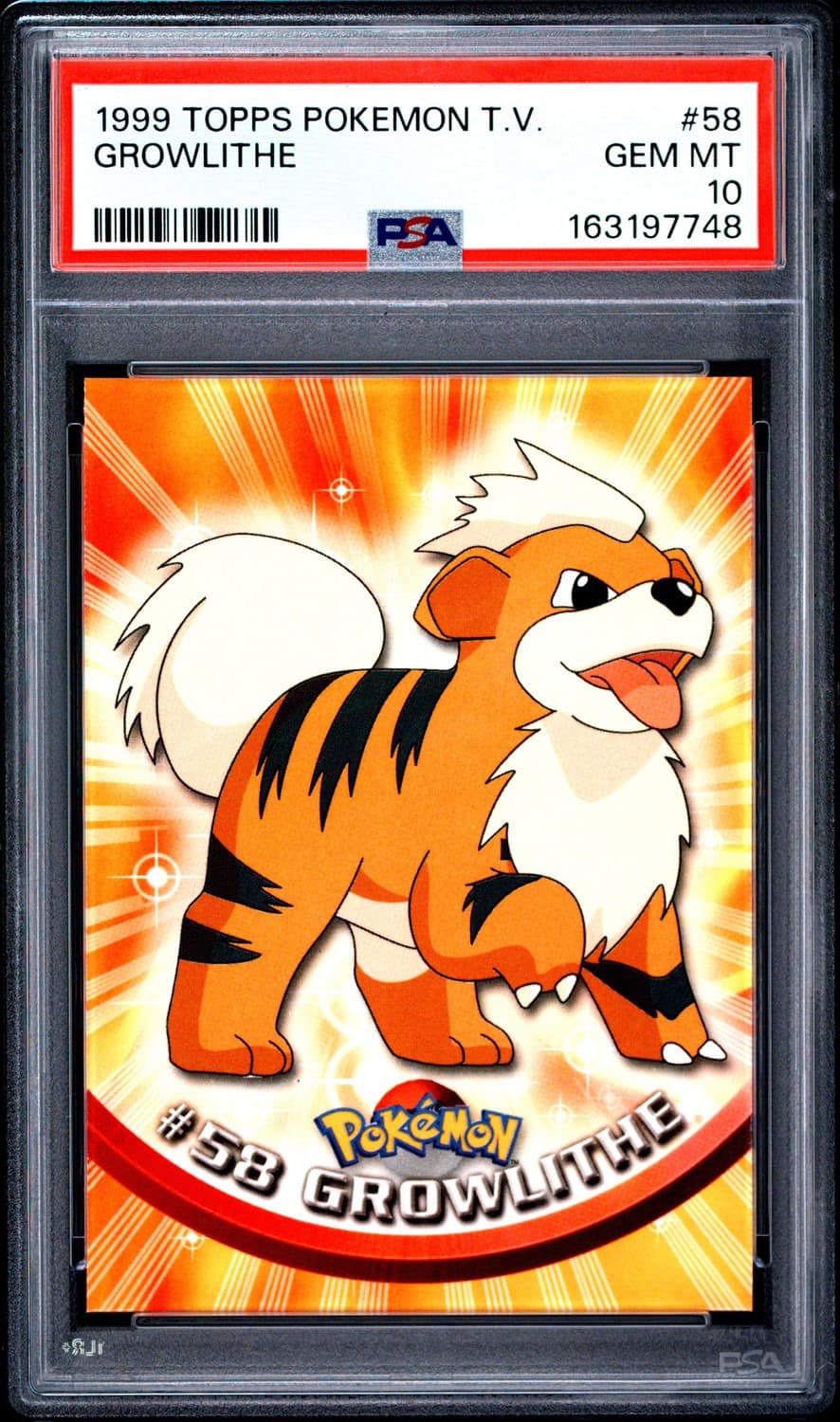 Growlithe