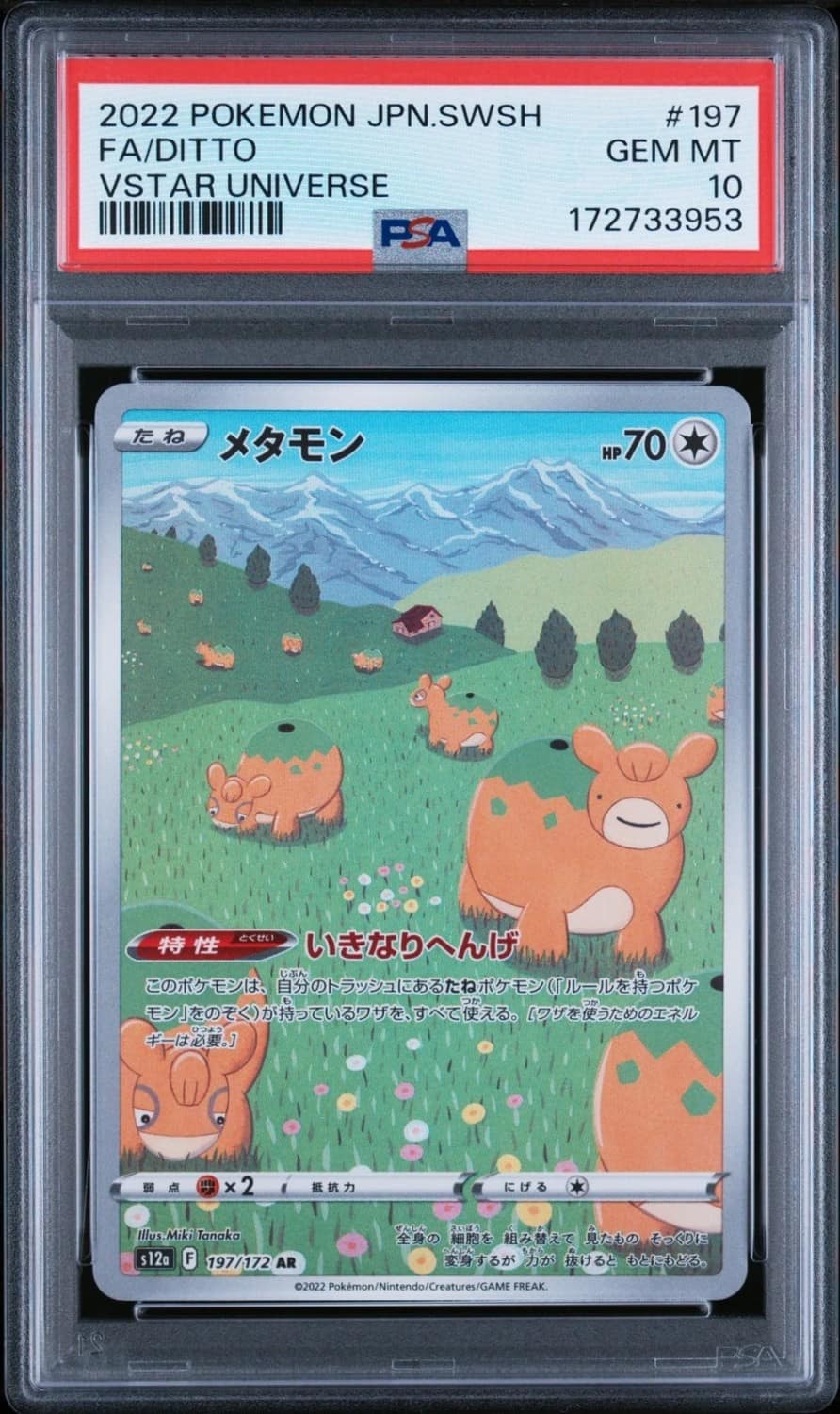 Ditto