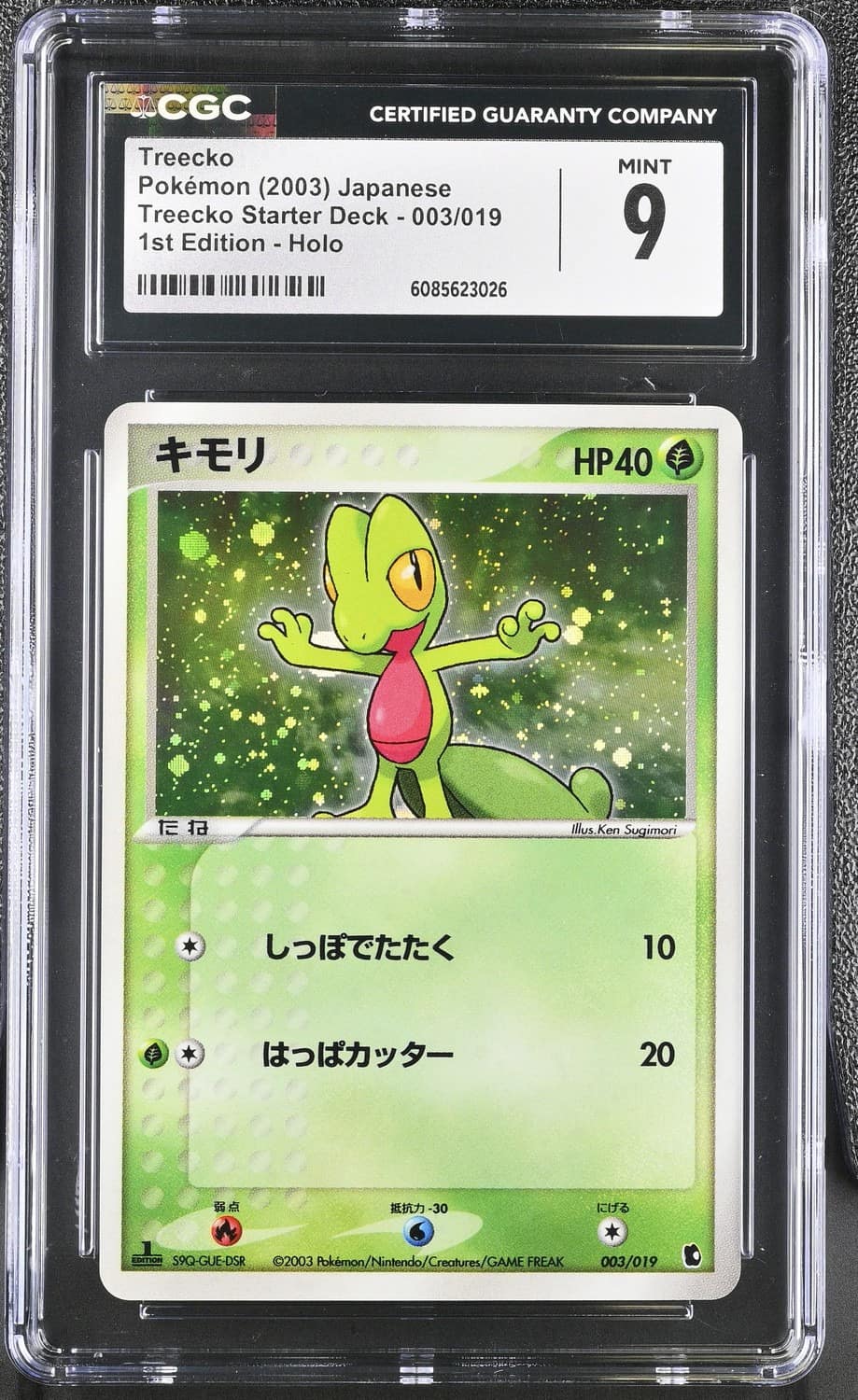 Treecko