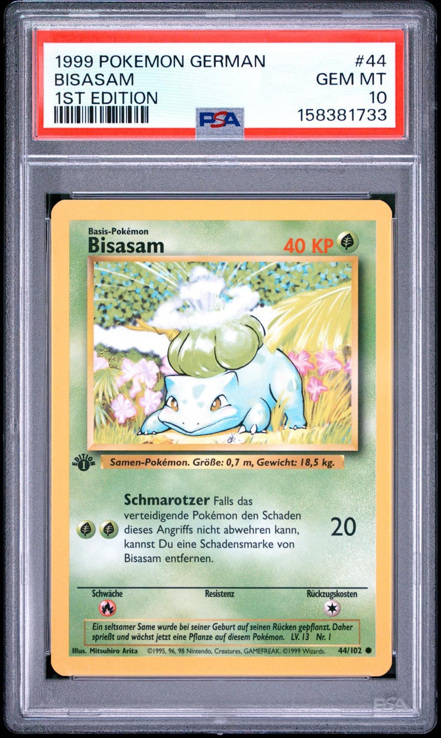 Bisasam