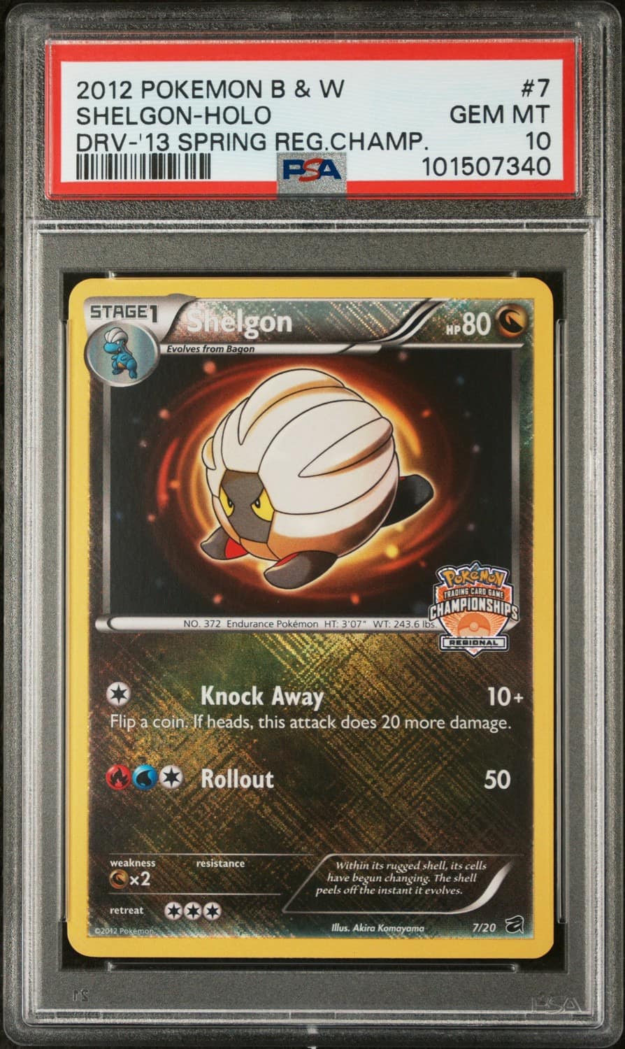 Shelgon