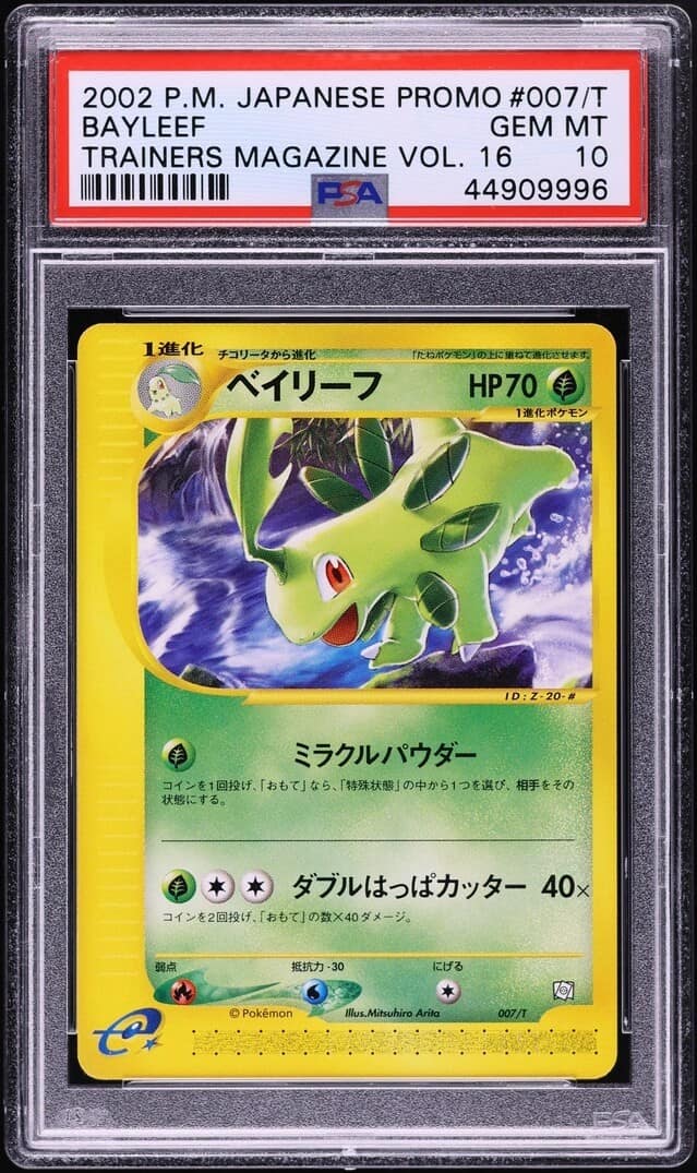 Bayleef